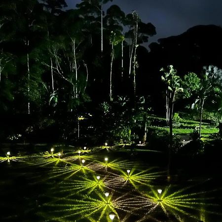 Siqurres Da Alegria Siquirres Mountain Lodge المظهر الخارجي الصورة