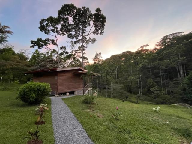 Siqurres Da Alegria Siquirres Mountain Lodge المظهر الخارجي الصورة