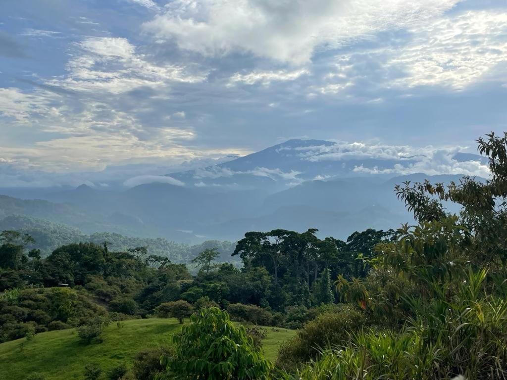 Siqurres Da Alegria Siquirres Mountain Lodge المظهر الخارجي الصورة