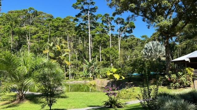 Siqurres Da Alegria Siquirres Mountain Lodge المظهر الخارجي الصورة